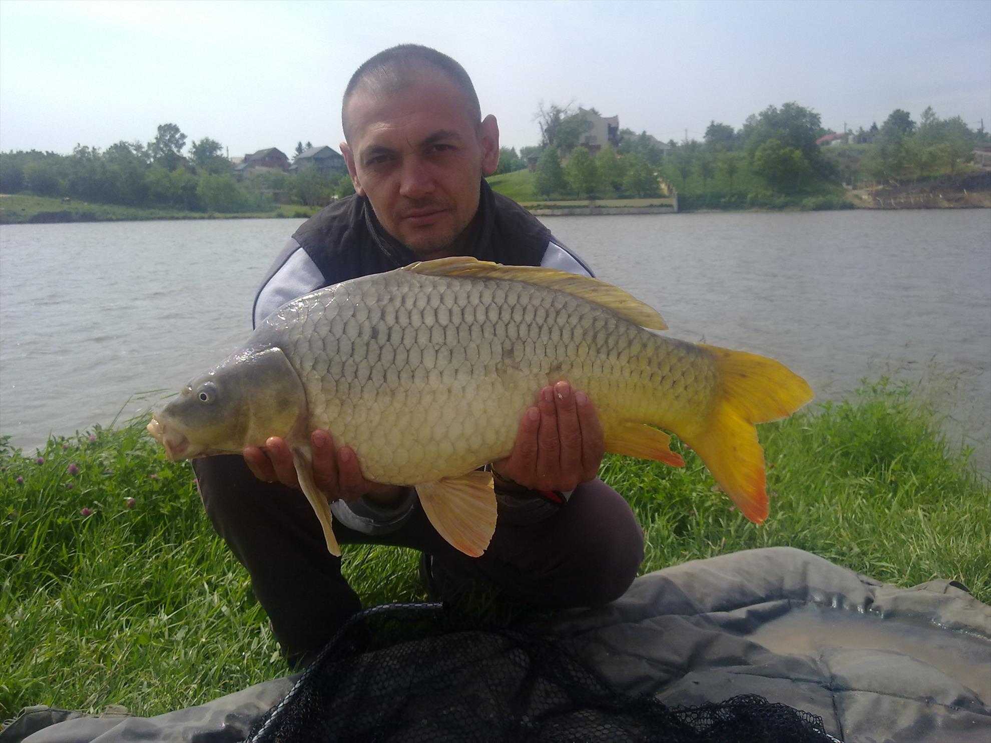 PESCUIT - 14052012746.jpg